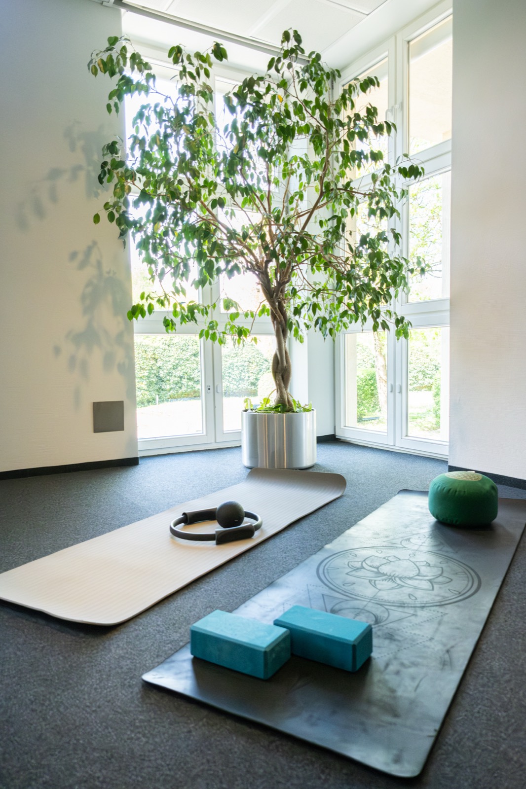 Co-Active Space
